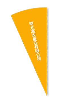 幸运彩 - 首页