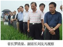 幸运彩 - 首页