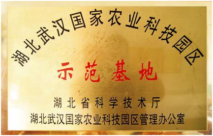 幸运彩 - 首页