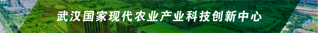 幸运彩 - 首页
